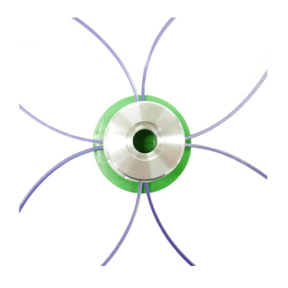 Testina Attilina Evo