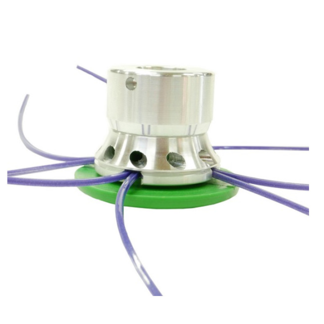 Testina Attilina Evo