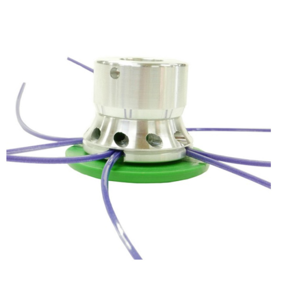 Testina Attilina Evo