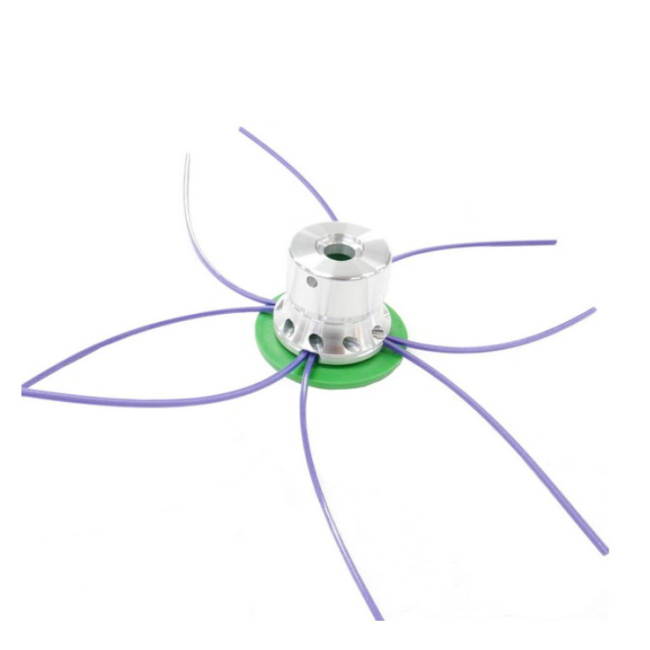 Testina Attilina Evo