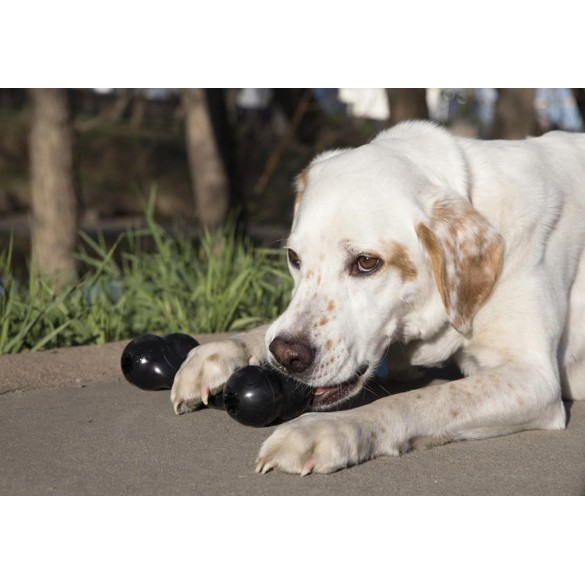 KONG Extreme Goodie Bone Osso In Gomma Per Cani Di Taglia Grande Large 21,5Cm