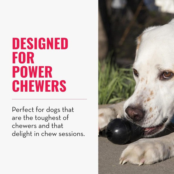 KONG Extreme Goodie Bone Osso In Gomma Per Cani Di Taglia Grande Large 21,5Cm