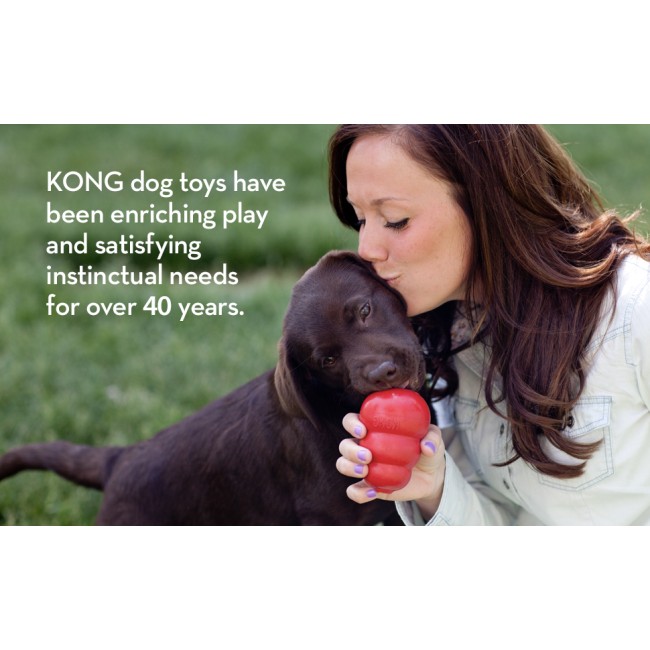 KONG Extreme Ball Small Giocattolo...