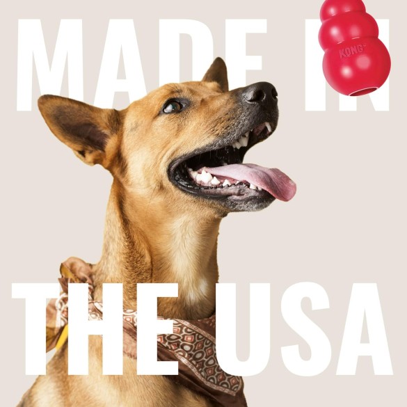 KONG Extreme Goodie Bone Osso In Gomma Per Cani Di Taglia Media 22cm