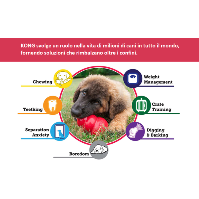 KONG Extreme Ball M/L Giocattolo per...