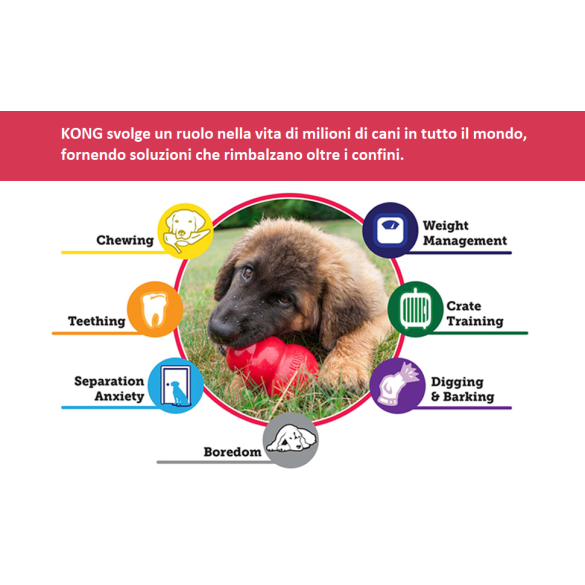 KONG Extreme Ball M/L Giocattolo per Cani in Gomma , 232 gr, 10 Cm