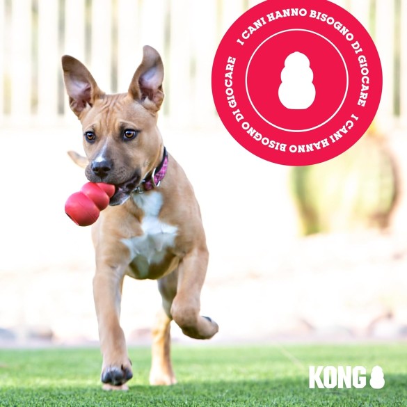 KONG Classic Giocattolo Per Cani Con Foro, Taglia L, 227 Gr, 10 Cm