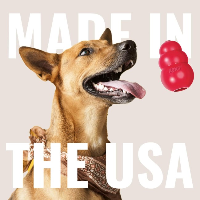 KONG Classic Giocattolo Per Cani Con...