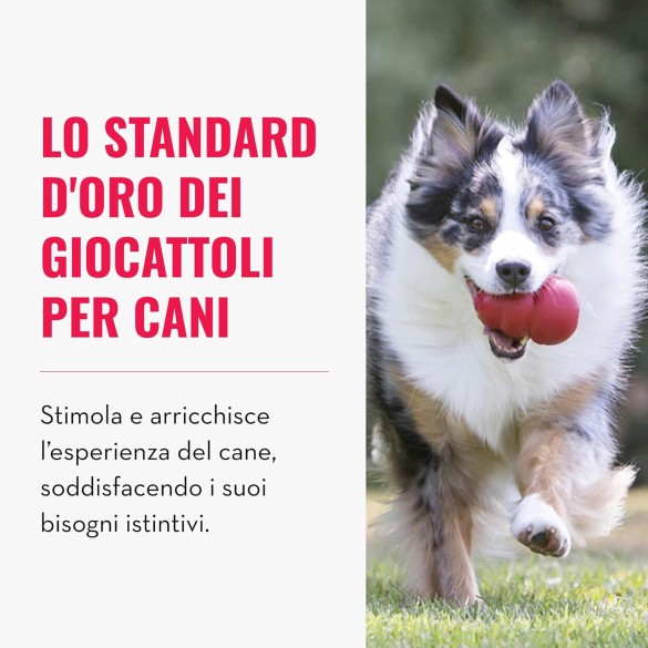 KONG Classic Giocattolo Per Cani Con Foro, Taglia M, 132 Gr, 9 Cm