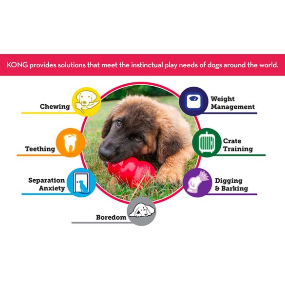 KONG Classic Giocattolo Per Cani Con Foro, Taglia M, 132 Gr, 9 Cm