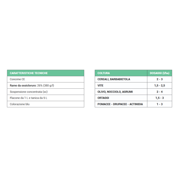 Ferticus 380 1 LT Manica