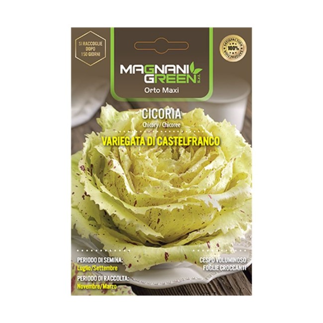 Semi di Cicoria Variegata di...