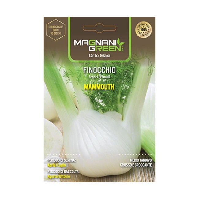 Semi di Finocchio Mammouth