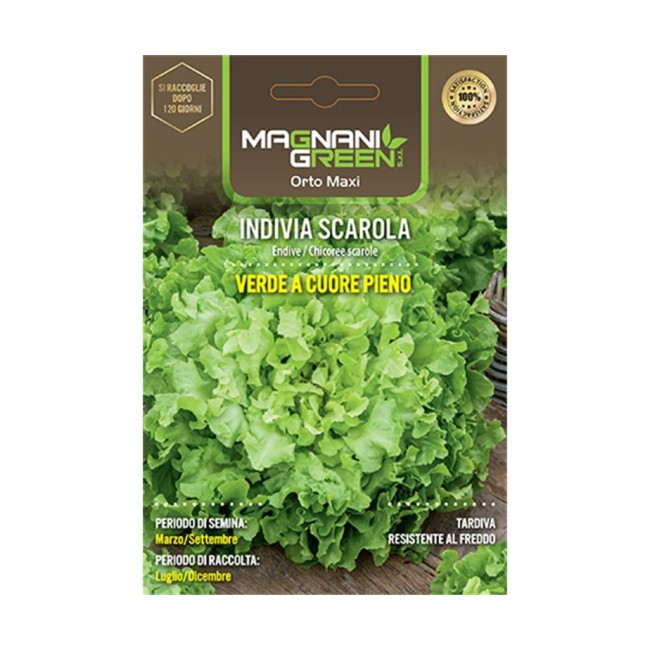 Semi di Indivia Scarola Verde a Cuore...