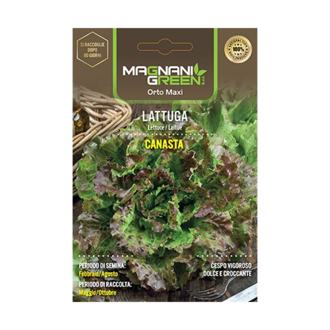 Semi Lattuga Canasta
