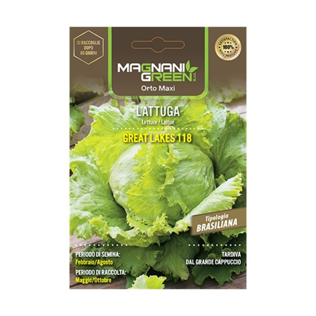 Semi di Lattuga Grandi Laghi