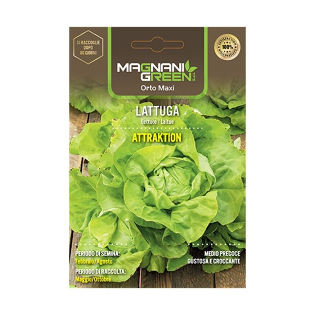 Semi di Lattuga Attrazione