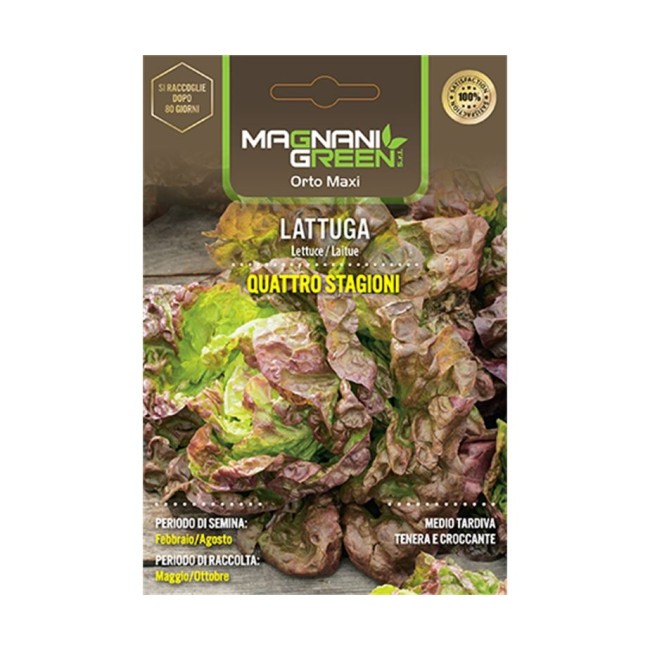 Semi di Lattuga Quattro Stagioni