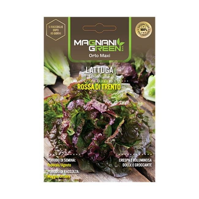 Semi di Lattuga Rossa di Trento