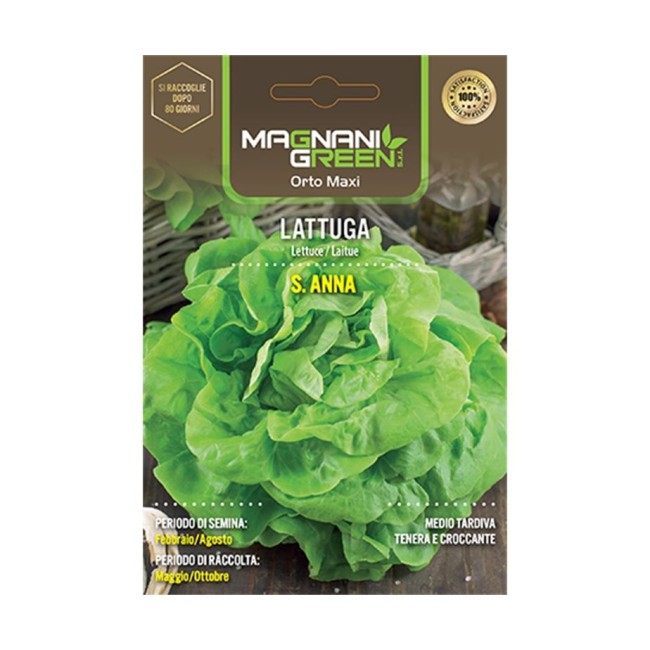 Semi Lattuga S. Anna