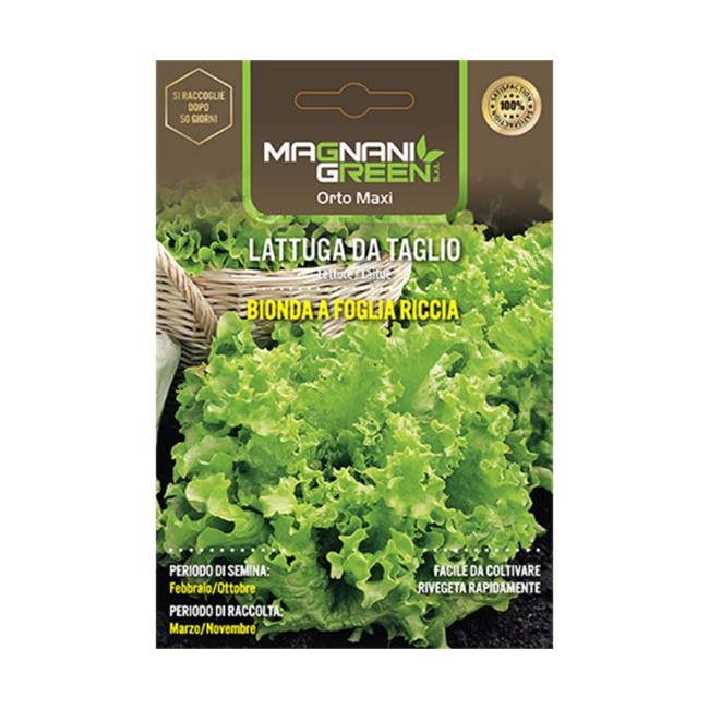 Semi di Lattuga da Taglio Bionda Riccia