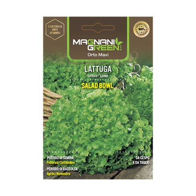 Semi di Lattuga Salad Bowl