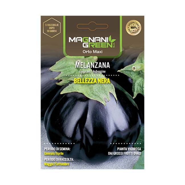 Semi di Melanzana Bellezza Nera