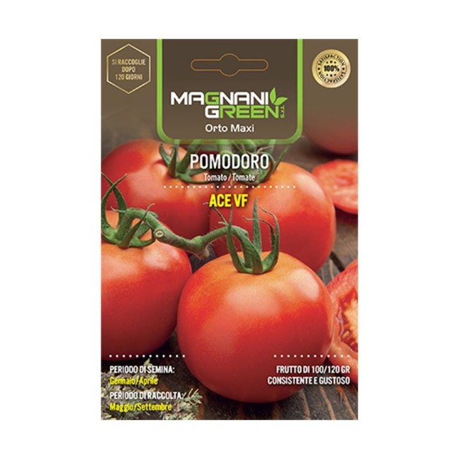 Semi di Pomodoro Ace VF