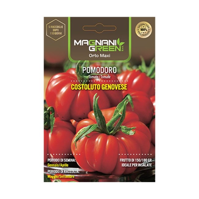 Semi di Pomodoro Costoluto Genovese