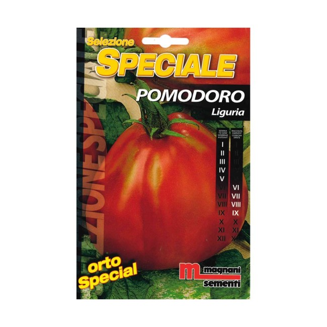 Semi di Pomodoro Liguria