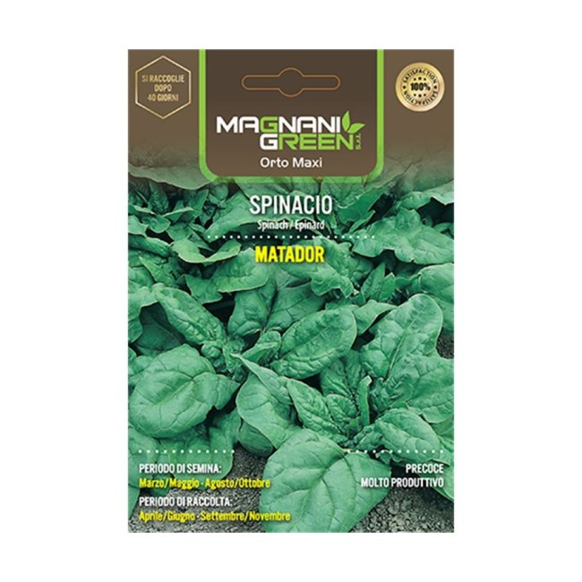 Semi di Spinacio Matador