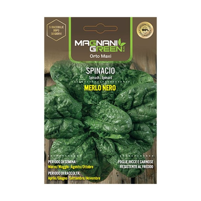 Semi di Spinacio Merlo Nero