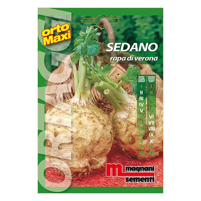 Semi di Sedano Rapa