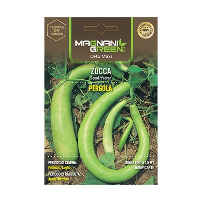 Semi di Zucca Pergola