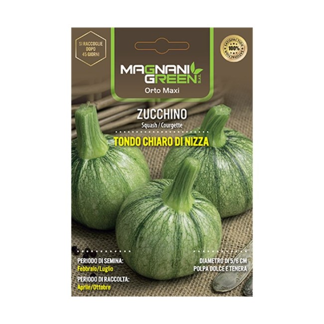 Semi di Zucchino Tondo chiaro