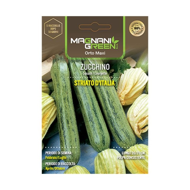 Semi di Zucchino Striato D'italia