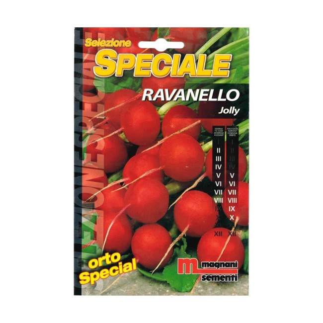 Semi di Ravanello Jolly