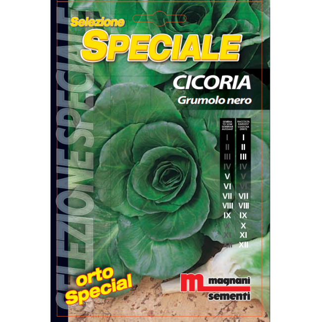 Semi di Cicoria Grumolo Nero