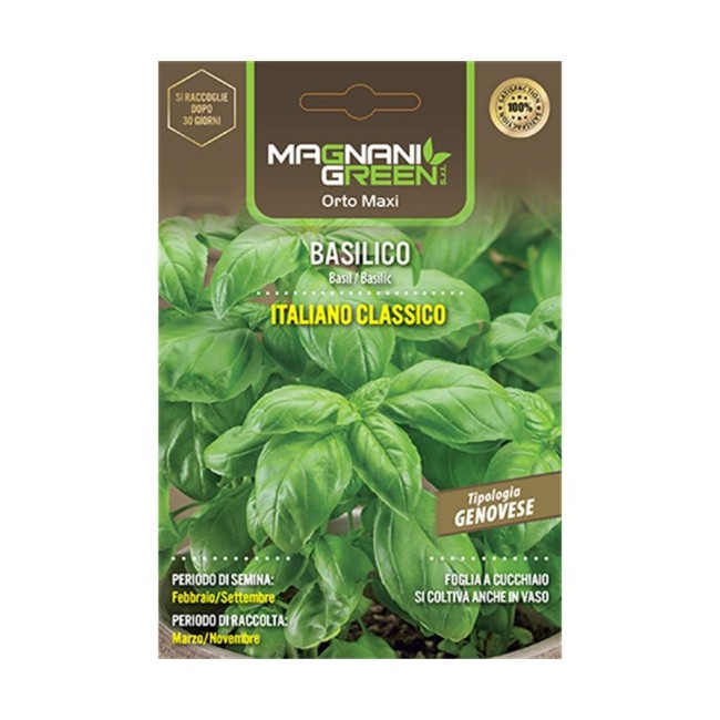 Semi Basilico Classico Italiano