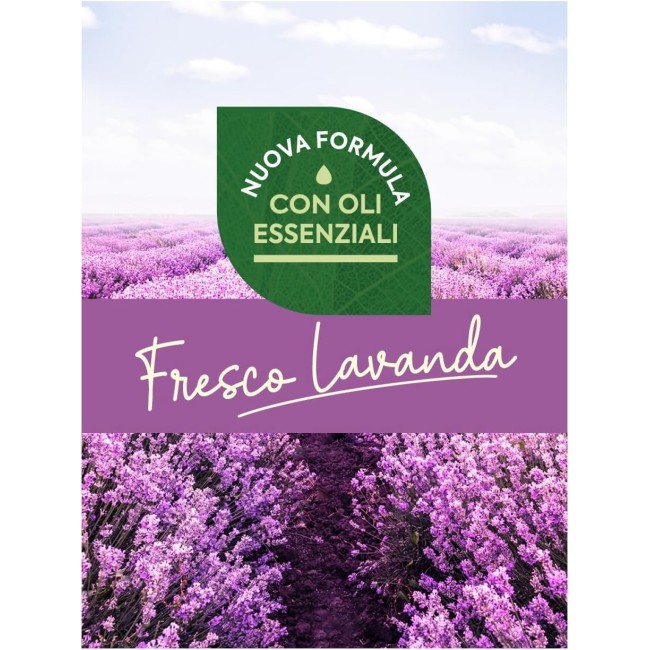 Antitarme Forte 12 foglietti Lavanda...