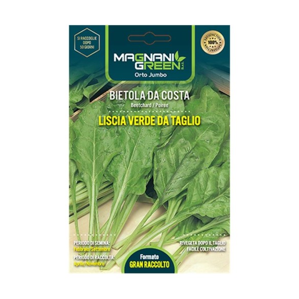 Semi di Bietola da Costa Liscia Verde da Taglio Orto Jumbo