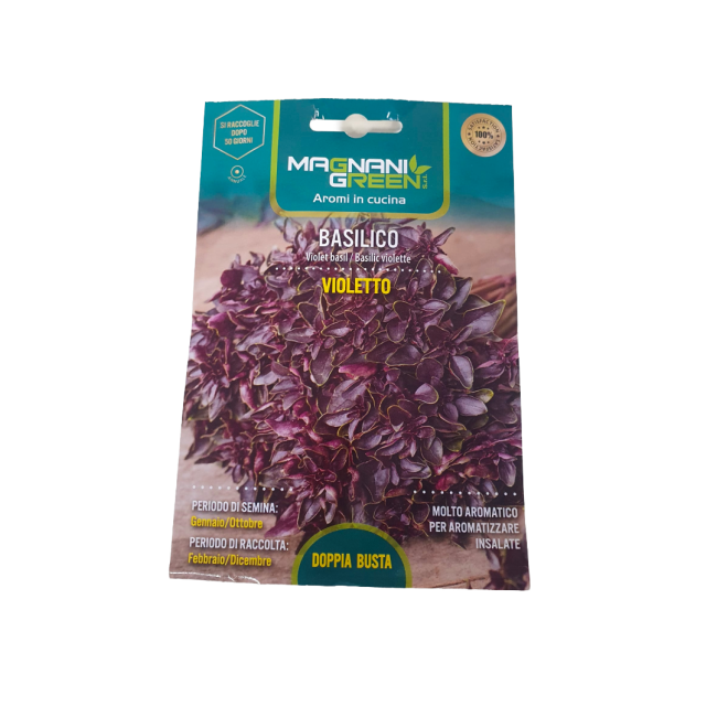 Semi Basilico Violetto
