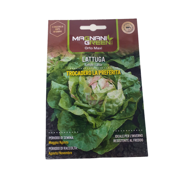 Semi di Lattuga Trocadero