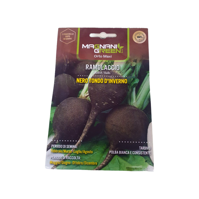 Semi di Ramolaccio Nero