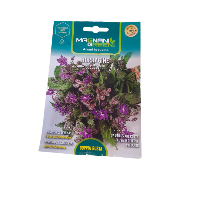 Semi di Borragine