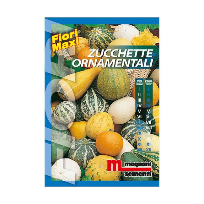 Semi di Zucchette Ornamentali