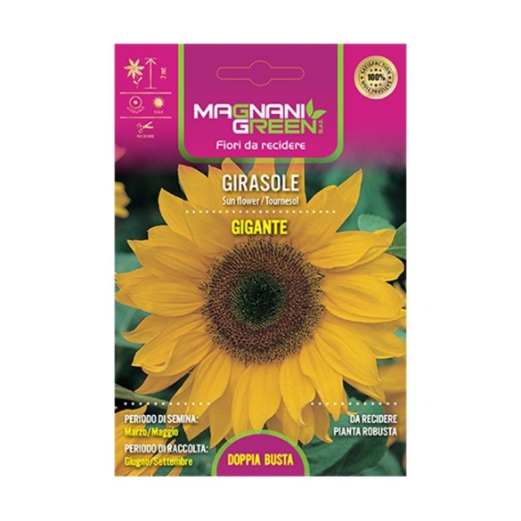 Semi di Girasole Gigante