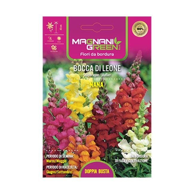 Semi Bocca di Leone Nana