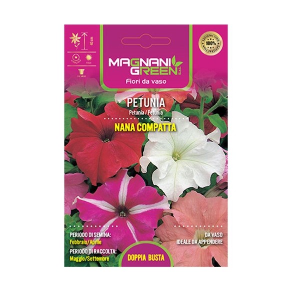 Semi di Petunia Nana Compacta