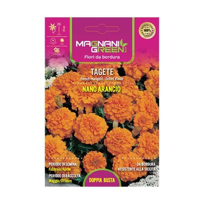 Semi di Tagete Nano Arancio